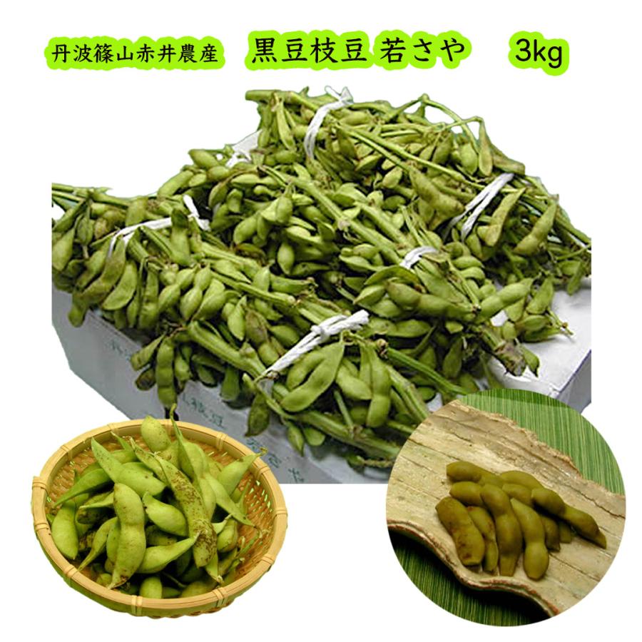 そら豆7kg丹波黒3kg 【公式通販】