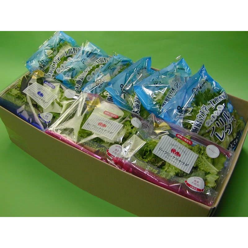 大阪府立大学植物工場 フリルレタス 約70g ６個 リーフミックスサラダマイルド 約35g ３個 リーフミックスサラダスパイシー 約35g ３個 Opu Fril6leafmild3leafspi3 心斎橋花房ヤフー店 通販 Yahoo ショッピング