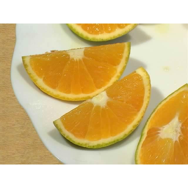 栗山園の国産バレンシアオレンジ 4kg 和歌山県産 安心の国産オレンジ