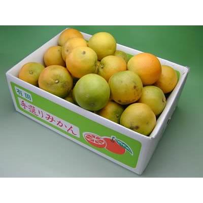 栗山園の国産バレンシアオレンジ(ご家庭用) 5kg 和歌山有田栗山園直送