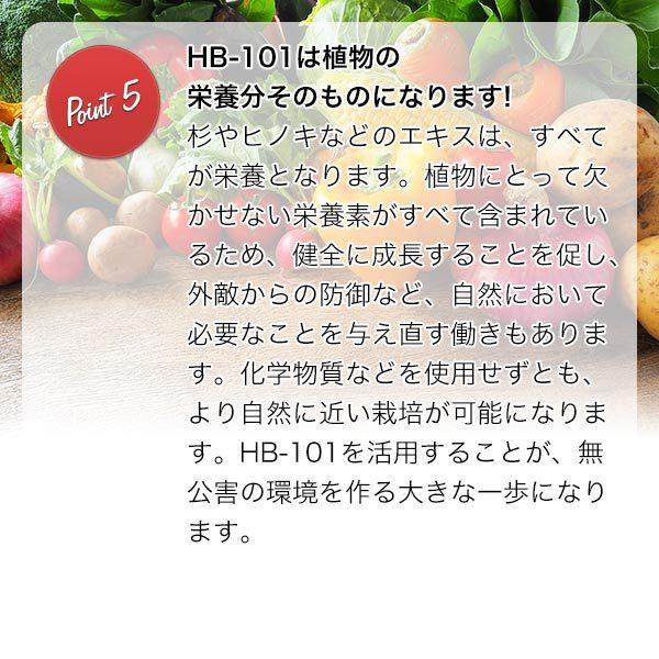 HB-101 1L フローラ 活力剤 HB101 活力剤 植物 活力剤 バラ 活力剤 野菜 活力剤 芝生 活力剤 観葉植物 活力剤 植物活力剤 バラ活力剤_6