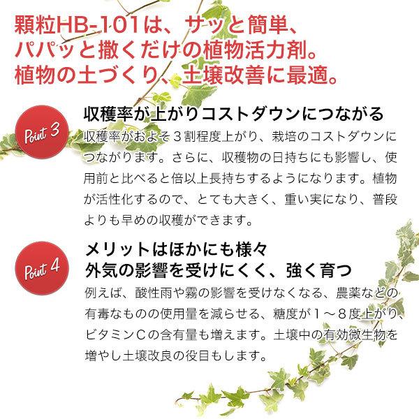 フローラ 顆粒 HB-101 300g 活力剤 HB101 植物 バラ 野菜 芝生 フローラ 顆粒 HB-101 300g 活力剤 HB101 植物 バラ 野菜 芝生