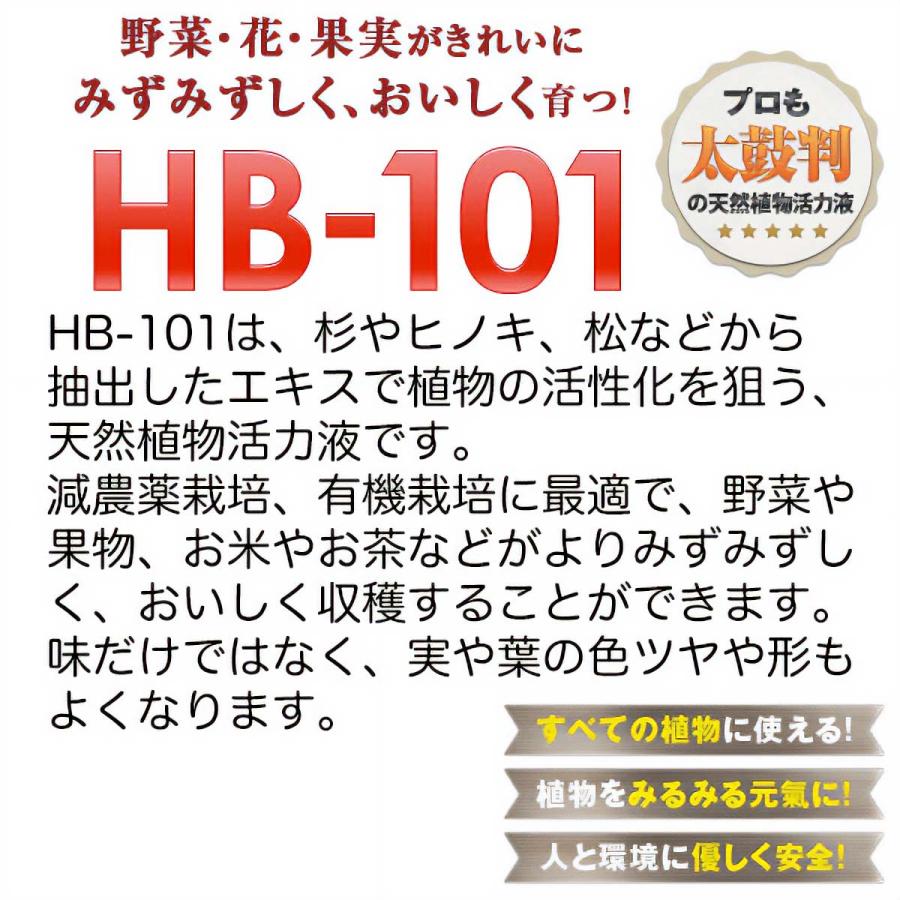 HB-101 300cc フローラ 植物を超元気にする 活力液｜e-hanas｜02