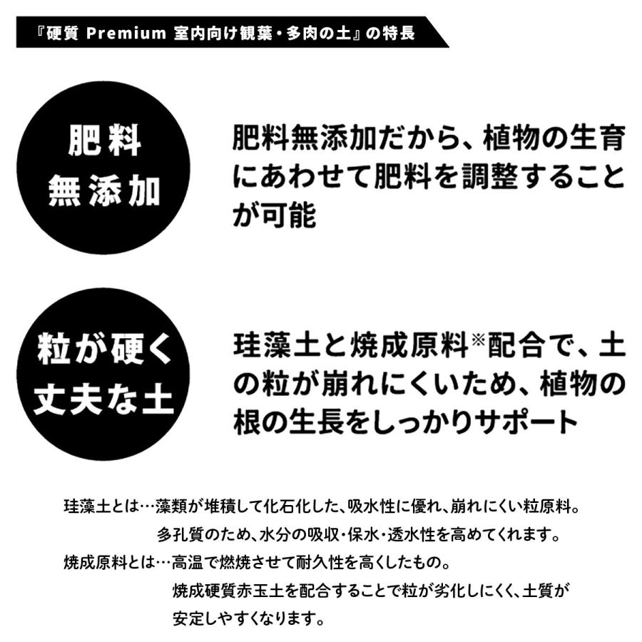 培養土 室内向け観葉・多肉の土 硬質 3.5L プレミアム プロト