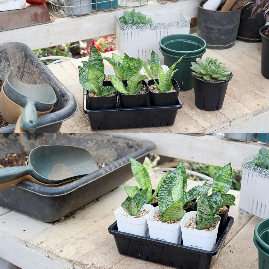 プレステラ 90型 黒 50個セット スリット鉢 育苗ポット 種まきポット