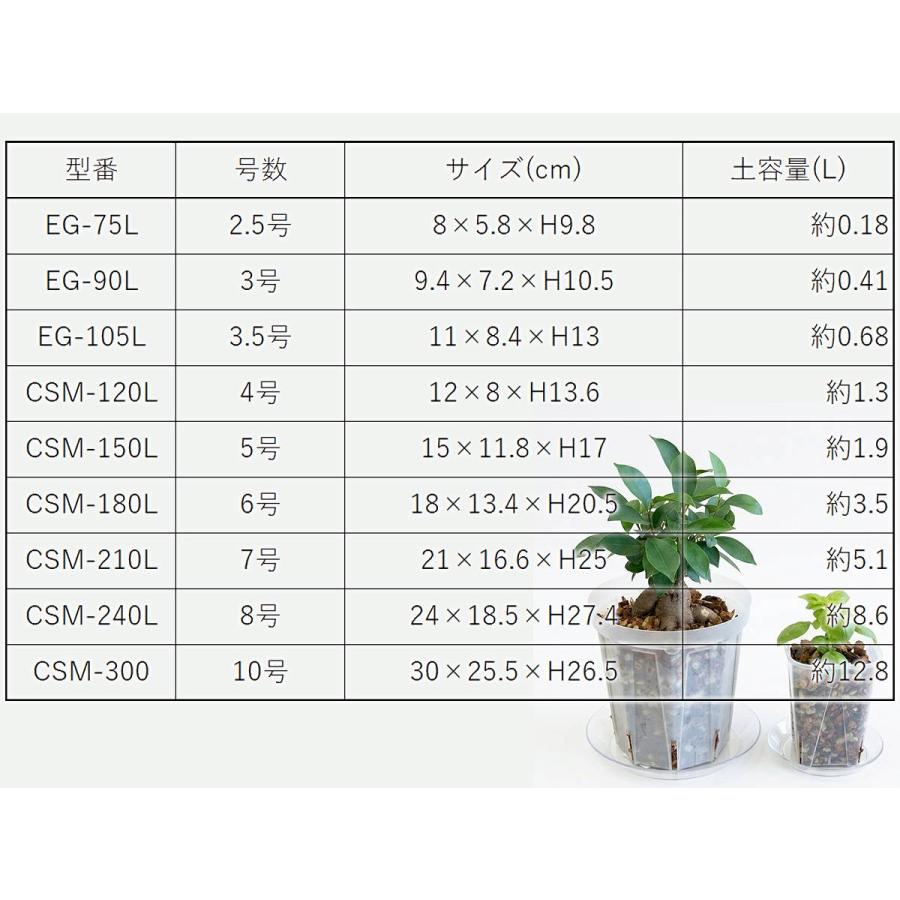 透明鉢 ネガミエル 10号 CSM-300 浅岡園芸 Negamieru スリット鉢 透明