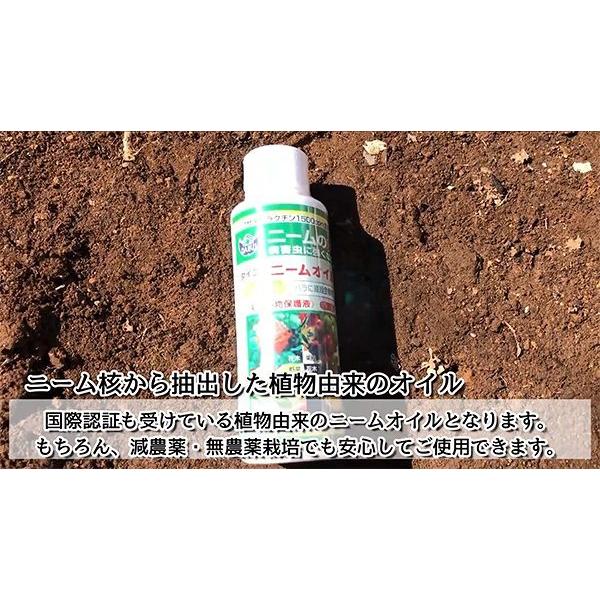 ニームオイル 1L 天然植物保護液 原液 業務用 ダイコー ニーム 忌避剤