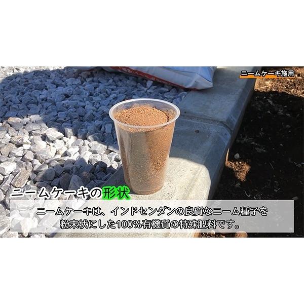 ニームケーキ 2kg ダイコー 植物性土壌改良剤 100％有機質 ニームの力｜e-hanas｜02