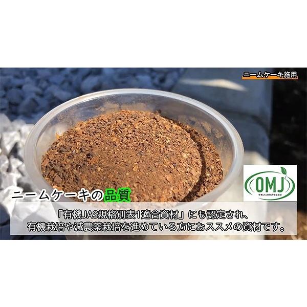 ニームケーキ 2kg ダイコー 植物性土壌改良剤 100％有機質 ニームの力｜e-hanas｜04