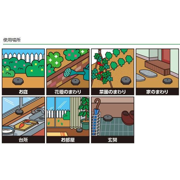 殺虫剤 アリ 駆除 安心アリ退治ハウスタイプ 12個入り キング園芸 M2 E Hanas イーハナス Yahoo 店 通販 Yahoo ショッピング