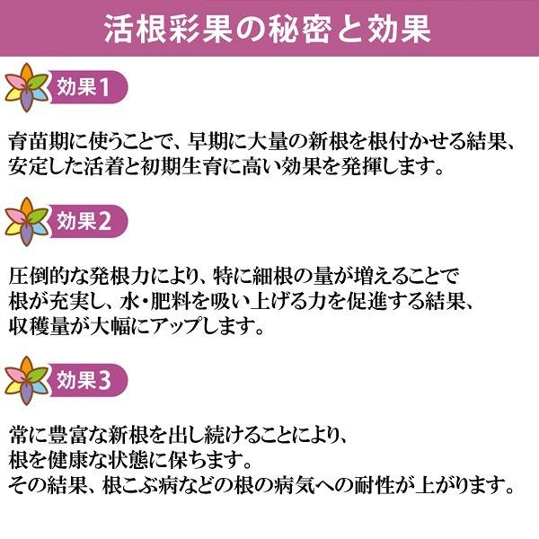 活根彩果(カッコンサイカ) 10kg 甘彩六花 怒涛の生長促進剤 肥料 送料無料 代金引換不可 