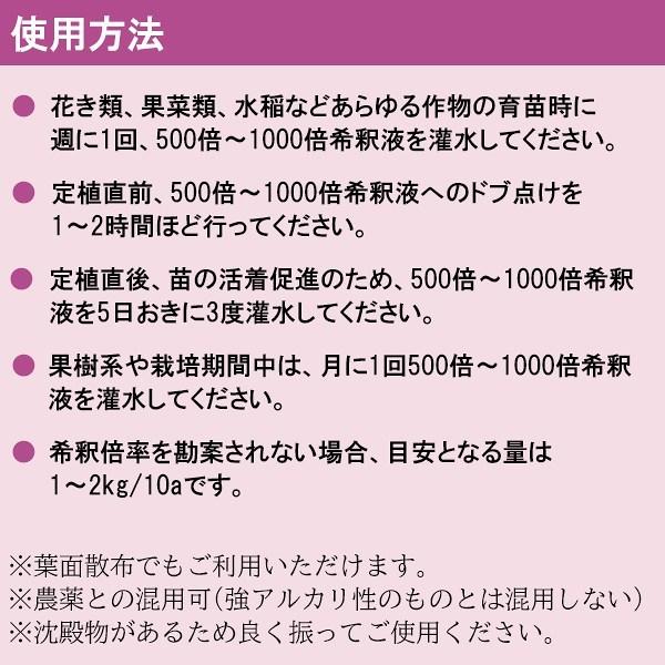 活根彩果(カッコンサイカ) 10kg 甘彩六花 怒涛の生長促進剤 肥料 送料無料 代金引換不可 