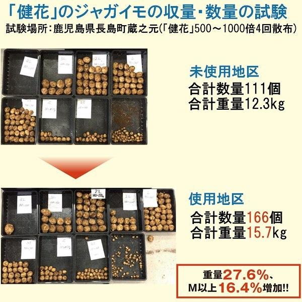 健花(スコヤカ) 10kg 甘彩六花 万能カルシウム剤 肥料 送料無料 代金引換不可 