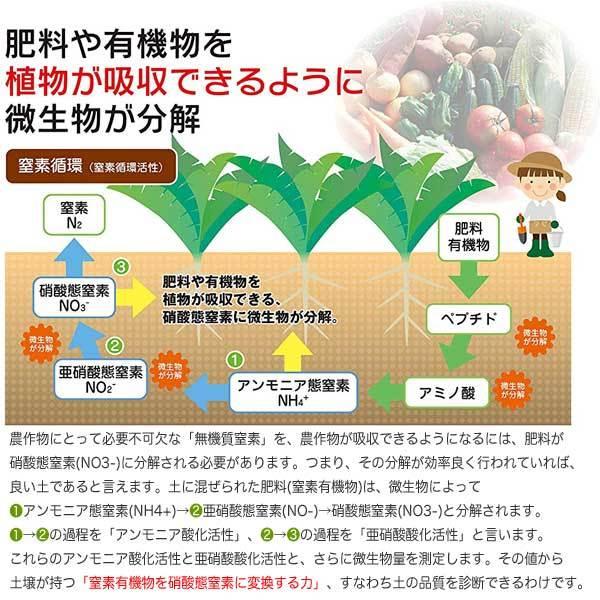 土いきかえる 4L 環境大善 液体たい肥 天然成分100% 散布するだけで、野菜や花がよく育つ 連作障害を改善 無臭 液色茶色 肥料 送料無料|e-hanas|06