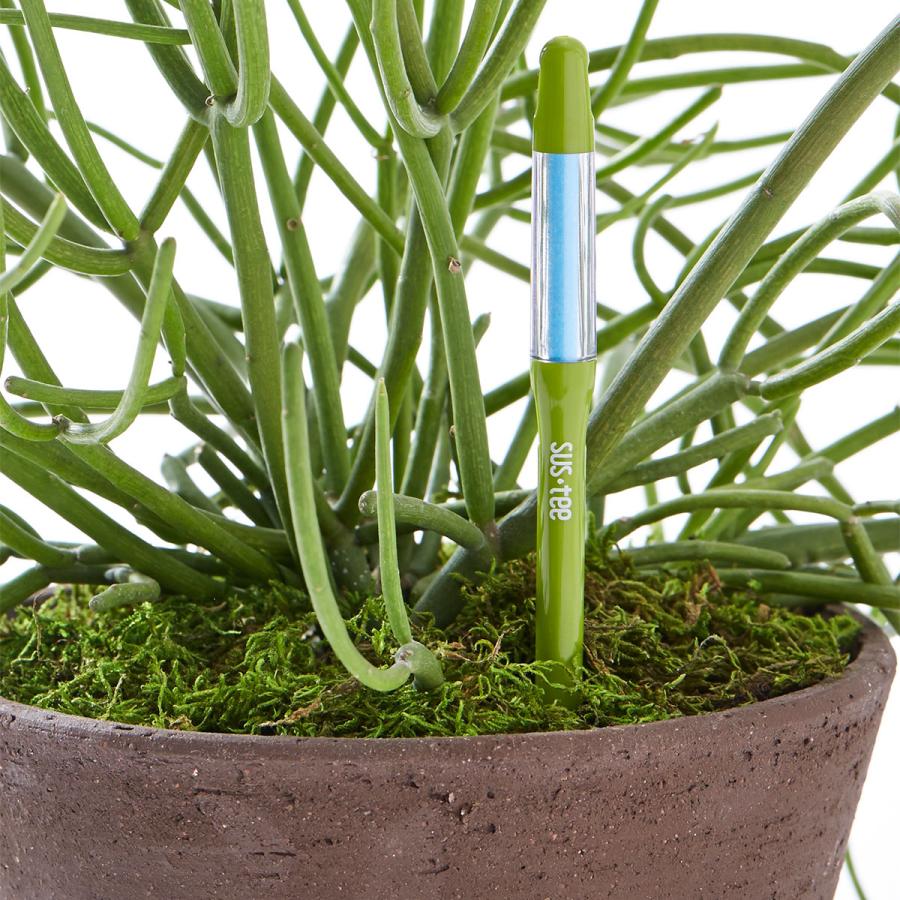 けいちゃ チューブがないからパンクもしない！ノーパンクタイヤ自転車[チャクル