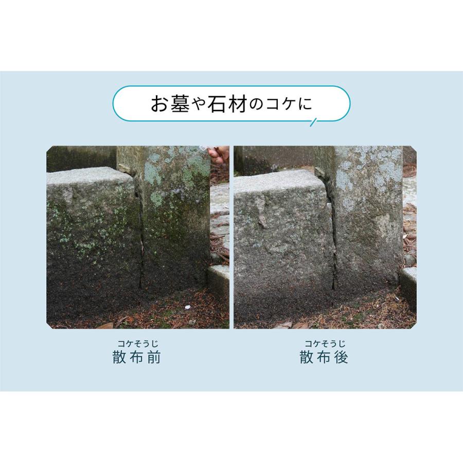 まとめ買い コケそうじスプレー 500ml+濃縮液 500ml パネフリ工業 農薬成分不使用 化学合成成分ゼロ コケ用除草剤 簡単除草 非農耕地用コケ駆除剤｜e-hanas｜04