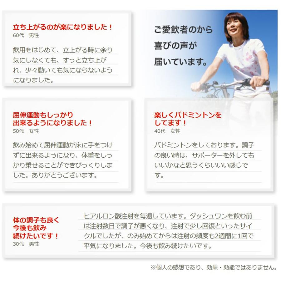 ダッシュワン 270粒×3袋 下川ふるさと興業協同組合 DASH1 サプリメント
