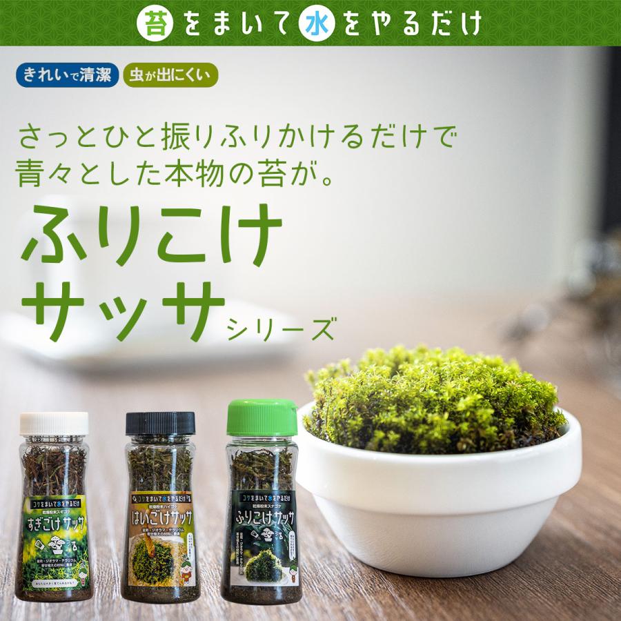 乾燥粉末ハイゴケ はいごけサッサ ビックアロー 盆栽 苔 ジオラマ