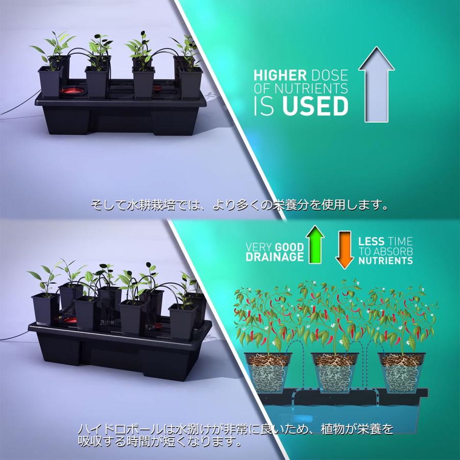 水耕栽培・家庭菜園用品の販売：エコゲリラ 室内栽培水耕栽培