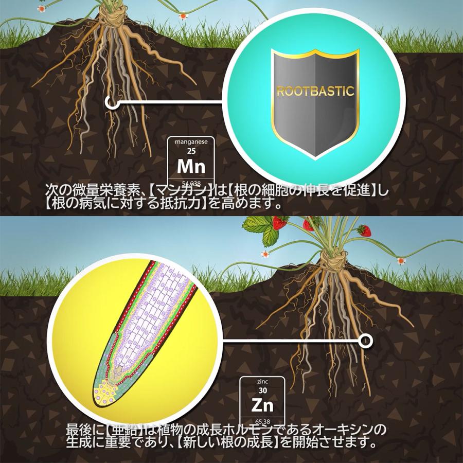 肥料 ROOT BASTIC (ルート バスティック) 100ml ATAMI 野菜 花 野菜肥料 液肥 液体肥料 発根促進剤 発根剤 : e ...