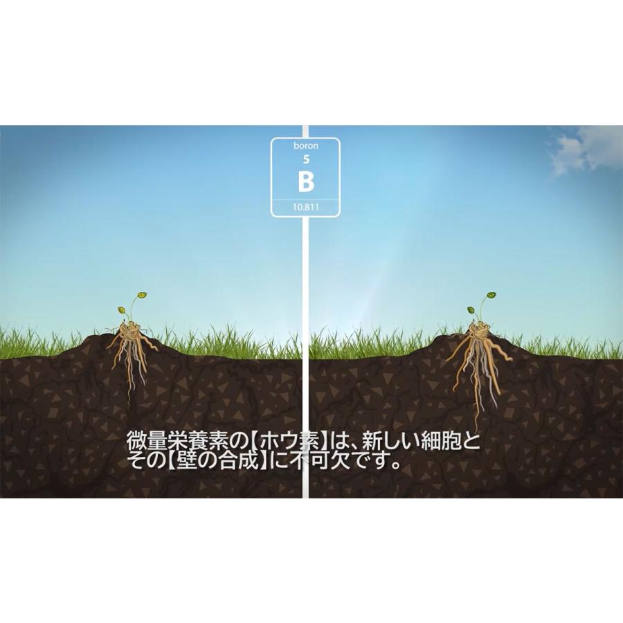 肥料 ROOT BASTIC (ルート バスティック) 100ml ATAMI 野菜 花 野菜肥料 液肥 液体肥料 発根促進剤 発根剤 : e ...