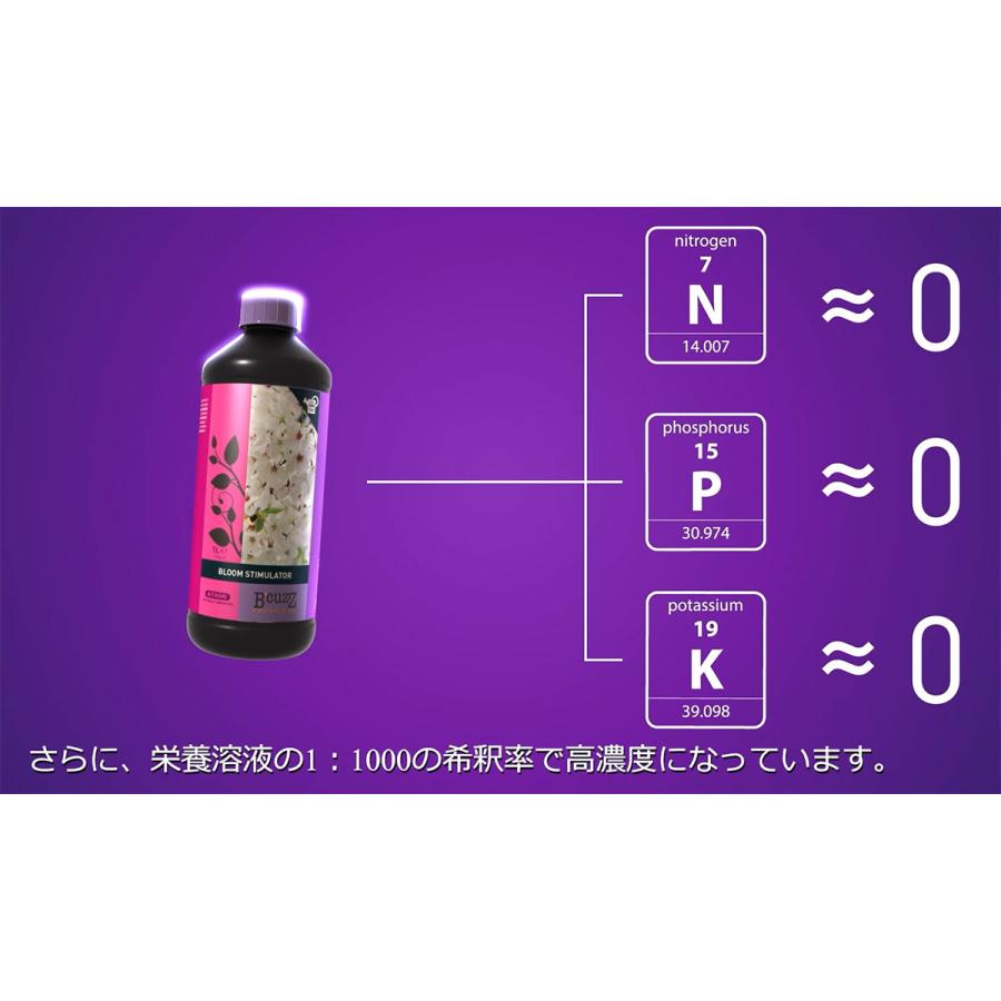 B'CUZZ COCO BLOOM STIMULATOR (ビーカズ ココ ブルーム スティミュ