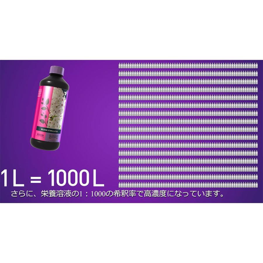 B'CUZZ COCO BLOOM STIMULATOR (ビーカズ ココ ブルーム スティミュ