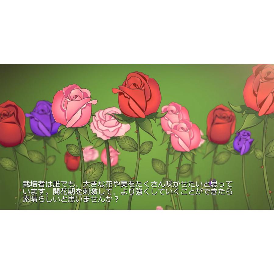 B'CUZZ COCO BLOOM STIMULATOR (ビーカズ ココ ブルーム スティミュ