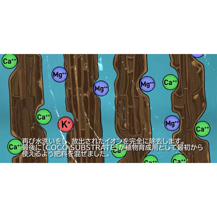 COCOS SUBSTRATE(ココス サブストレート) 50L ATAMI COCO培地