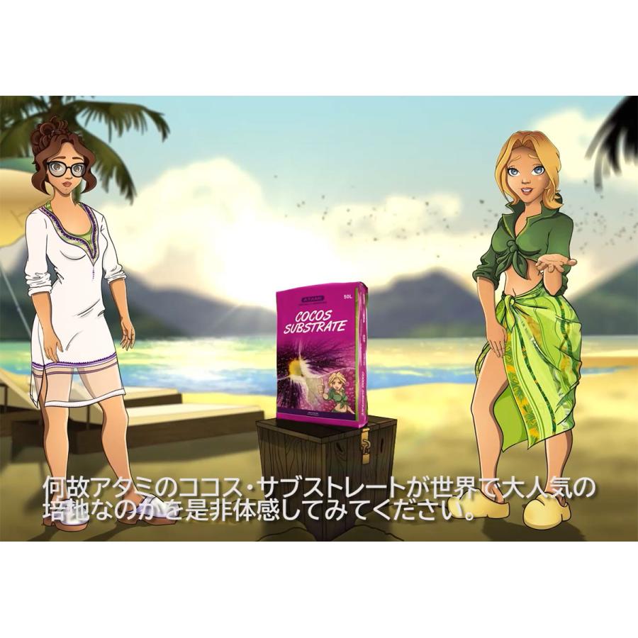 [専用出品]coco WOMEN'S ITEM（ウイメンズアイテム）｜Ashley＆bros