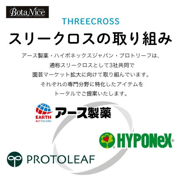 まとめ買い 3袋入 BotaNice 土からわいたコバエ退治 粘着剤タイプ 4個入 アース製薬 アースガーデン ボタナイス 土に挿すだけたくさん捕獲 殺虫剤 M1｜e-hanas｜07