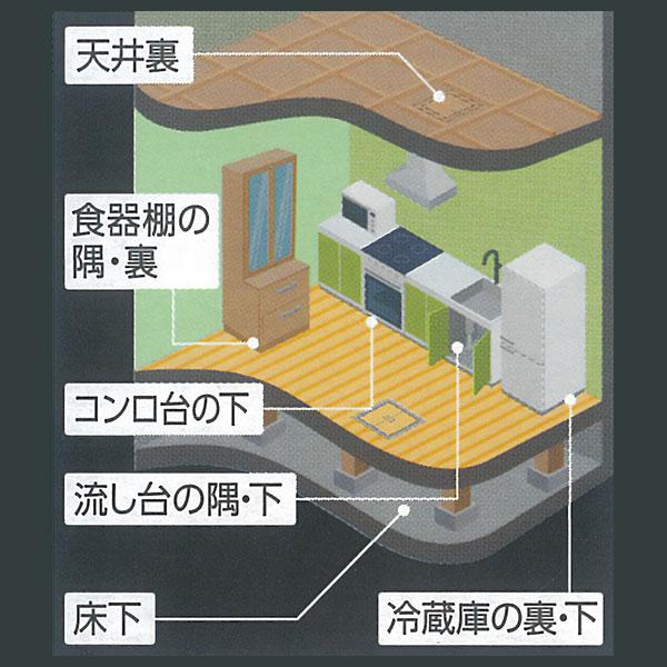 フマキラー ドラデスパワー 速効プレミアム 2g×20個入 殺鼠剤 フマキラー ドラデスパワー 速効プレミアム 2g×20個入 殺鼠剤