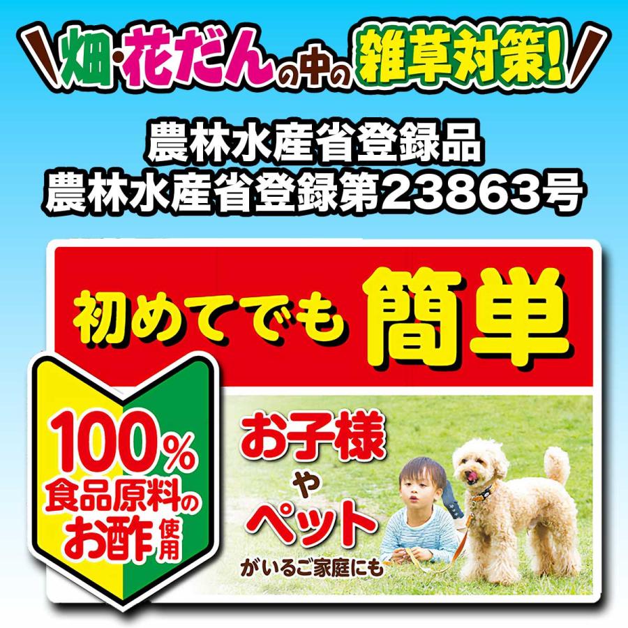 除草剤 カダン 除草王シリーズ ビネガーキラー 2L×8本 フマキラー 除草剤 除草王 農耕地 除草剤 畑 除草剤 花壇 除草剤 菜園 除草剤 簡単 雑草対策 雑草予防_1