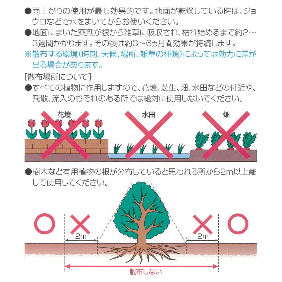 まとめ買い 4箱入 カダン 除草王シリーズ オールキラー粒剤 4kg フマキラー 根まで枯らす除草剤 長く効く お家周りの除草剤 まくだけ簡単除草 雑草防除 除草剤｜e-hanas｜05