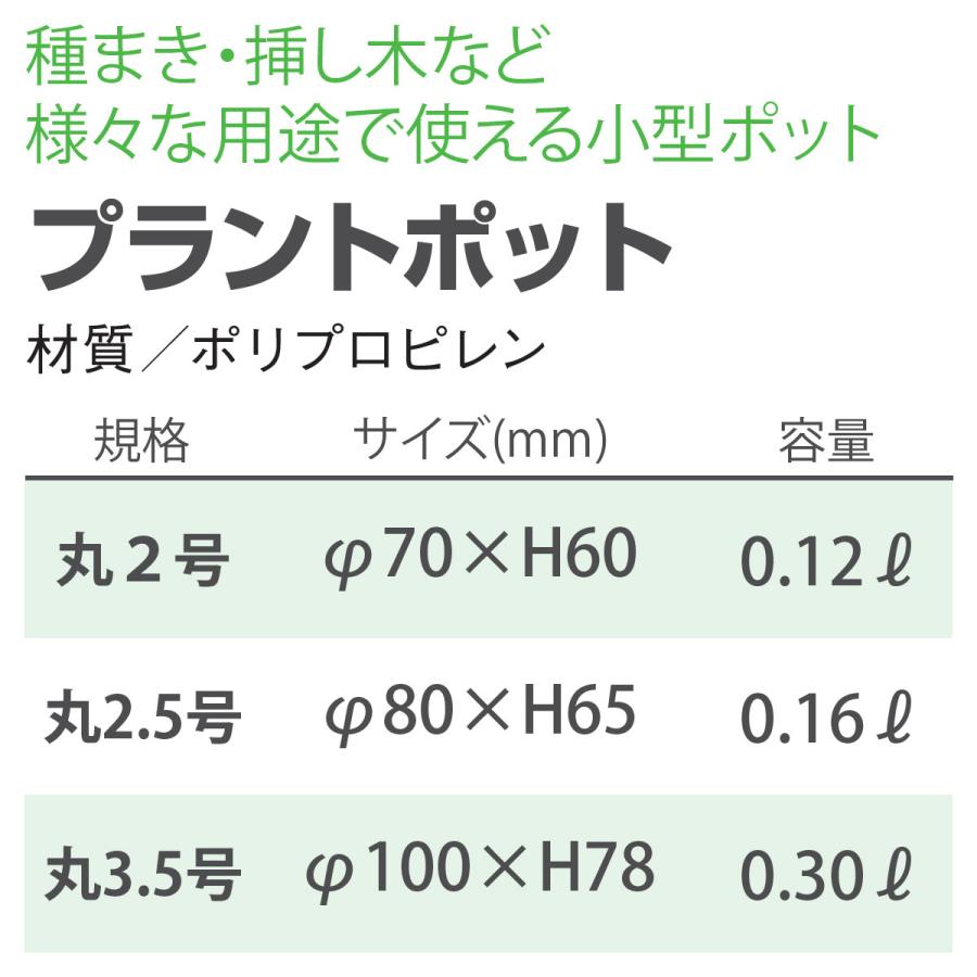 まとめ買い 400個入 プラントポット 3.5号 ホワイト 大和プラスチック φ100×H78 土容量0.3L 鉢 送料無料｜e-hanas｜02