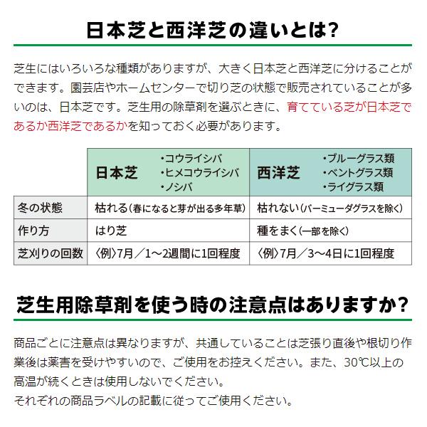 除草剤 芝 雑草 シバキープpro顆粒水和剤 分包 2 4g 1 2g 2包 レインボー薬品 M4 E Hanas イーハナス Yahoo 店 通販 Yahoo ショッピング