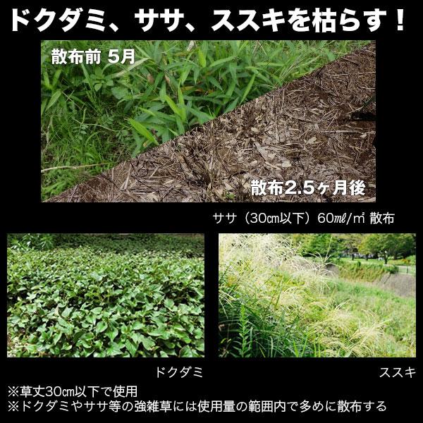 レインボー薬品 除草剤 ネコソギロングシャワーV9 4L×4本 除草剤 強力