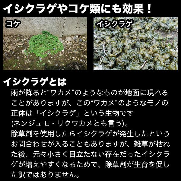 レインボー薬品 除草剤 ネコソギロングシャワーV9 4L 除草剤 強力 除草