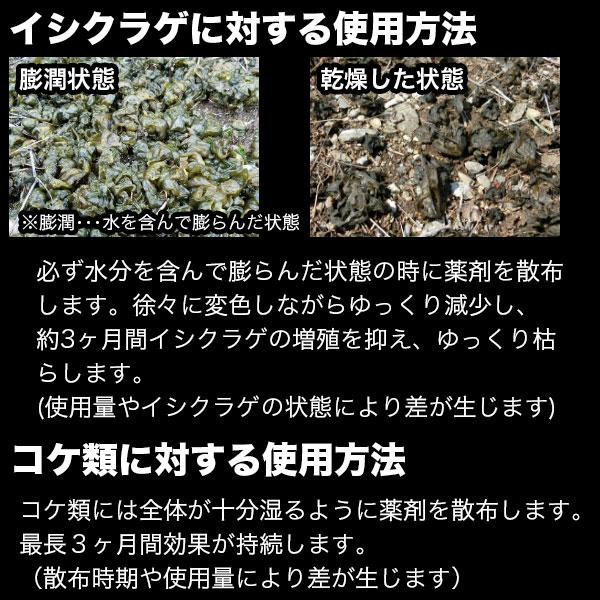 レインボー薬品 除草剤 ネコソギロングシャワーV9 4L 除草剤 強力 除草