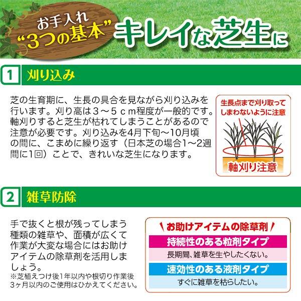 シバキープエースシャワー 2L レインボー薬品 日本芝専用 そのまま使える除草剤 まくだけ簡単除草 芝生 雑草対策 芝生に使える除草剤｜e-hanas｜05