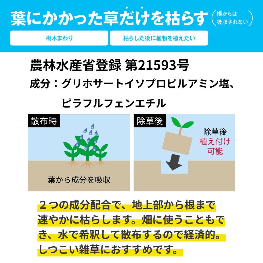 ネコソギ 除草剤 ネコソギクイックプロFL 500ml レインボー薬品