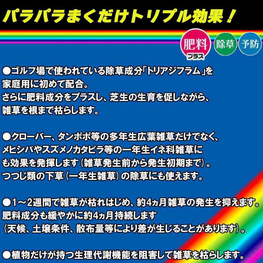 除草剤 シバキーププラスα 4.2kg×4箱 レインボー薬品 除草剤 顆粒 除草剤 強力 除草剤 芝生 除草剤 粒剤 除草剤 シバキープ 除草剤 日本芝 除草剤 雑草 対策_1