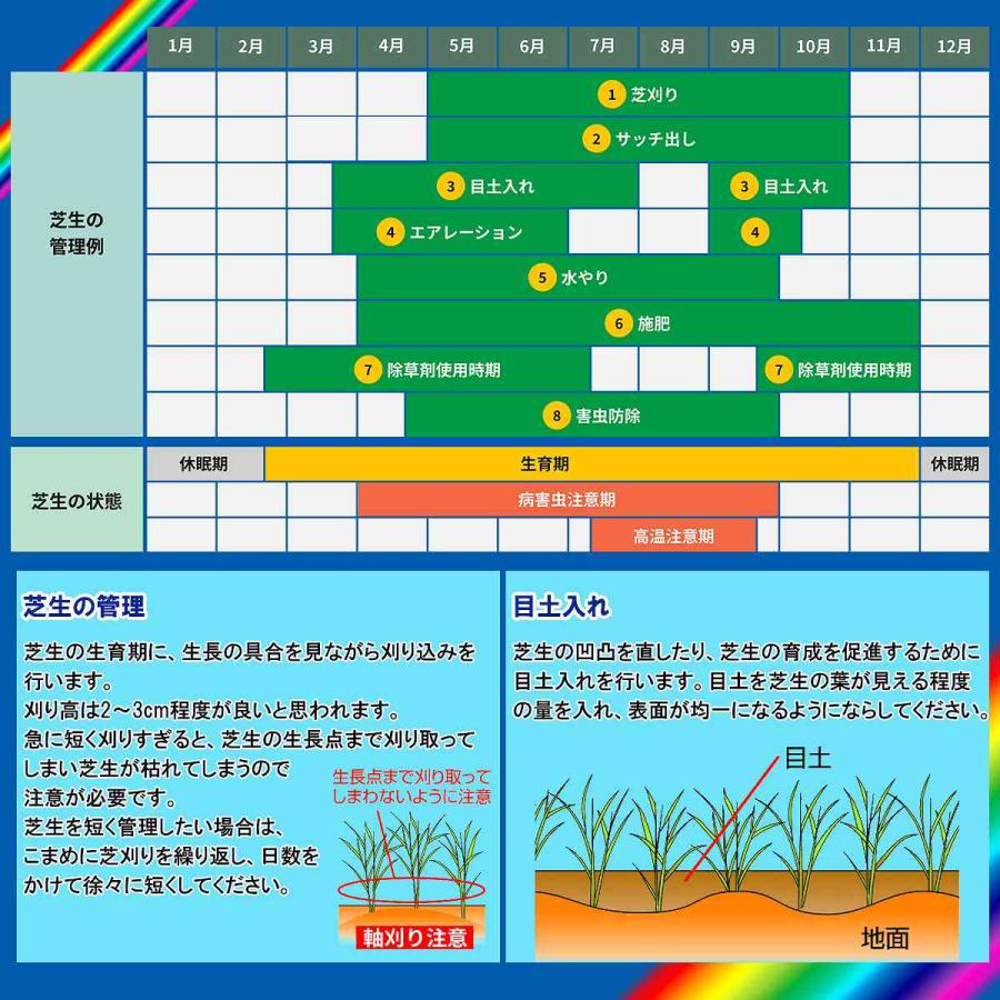 除草剤 シバキーププラスα 4.2kg×4箱 レインボー薬品 除草剤 顆粒 除草剤 強力 除草剤 芝生 除草剤 粒剤 除草剤 シバキープ 除草剤 日本芝 除草剤 雑草 対策_5