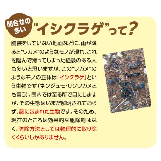 除草剤 コケ 対策 コケ用除草剤 コケレス 25g 2 レインボー薬品 M6 E Hanas イーハナス Yahoo 店 通販 Yahoo ショッピング