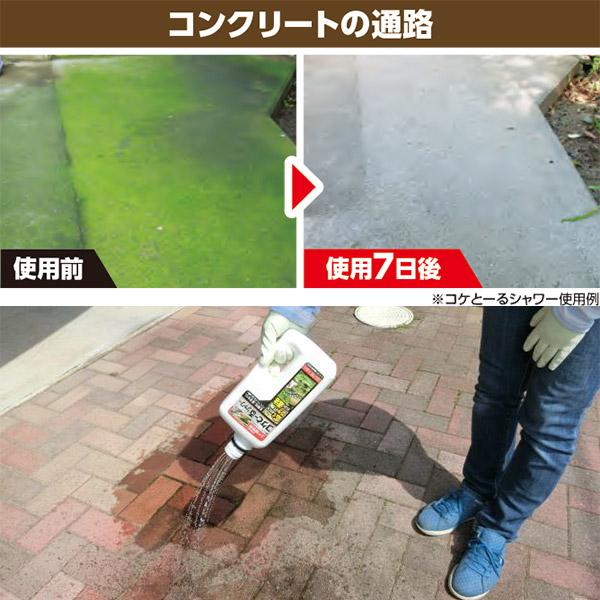 コケとーるシャワー 1.2L レインボー薬品 まくだけ簡単除草 コケ用除草剤 そのまま使える除草剤 コケ駆除剤 初心者おすすめ 除草剤｜e-hanas｜05