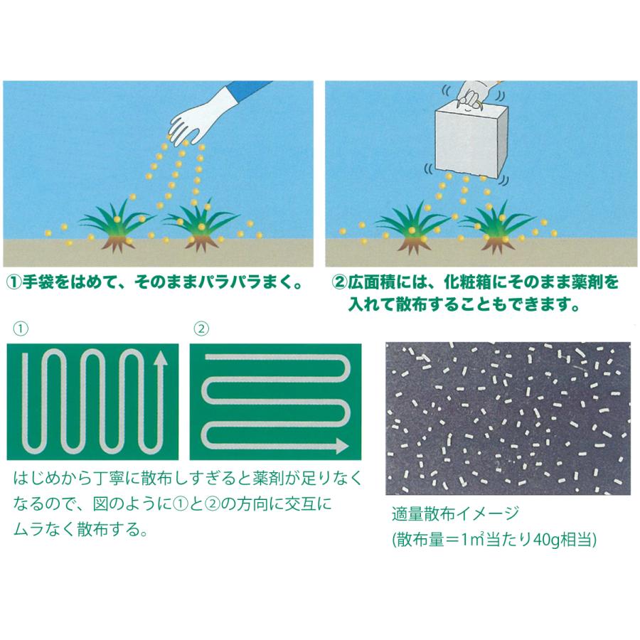 レインボー薬品 除草剤 こっぱみじんM 3kg×6箱 (こっぱみじんW後継品