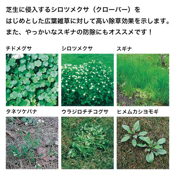 除草剤 MCPP液剤×10本 100ml 理研グリーン 除草剤 芝生 除草剤 芝生用除草剤 西洋芝 除草剤 芝 除草剤 芝生除草剤_2