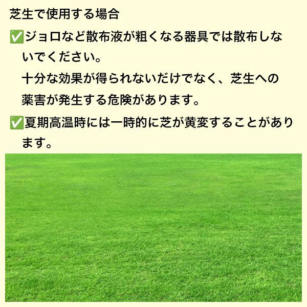 除草剤 MCPP液剤×10本 100ml 理研グリーン 除草剤 芝生 除草剤 芝生用除草剤 西洋芝 除草剤 芝 除草剤 芝生除草剤_5