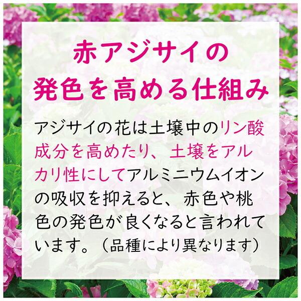 数量限定アウトレット最安価格 赤アジサイの肥料 500g 東商 肥料 Discoversvg Com
