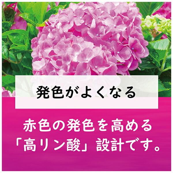 数量限定アウトレット最安価格 赤アジサイの肥料 500g 東商 肥料 Discoversvg Com